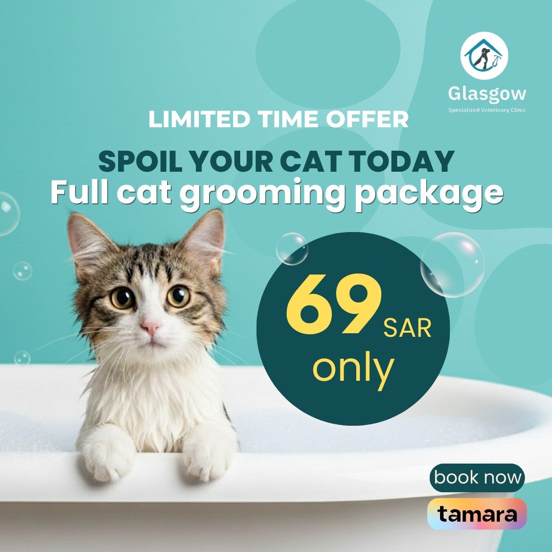Offer 5