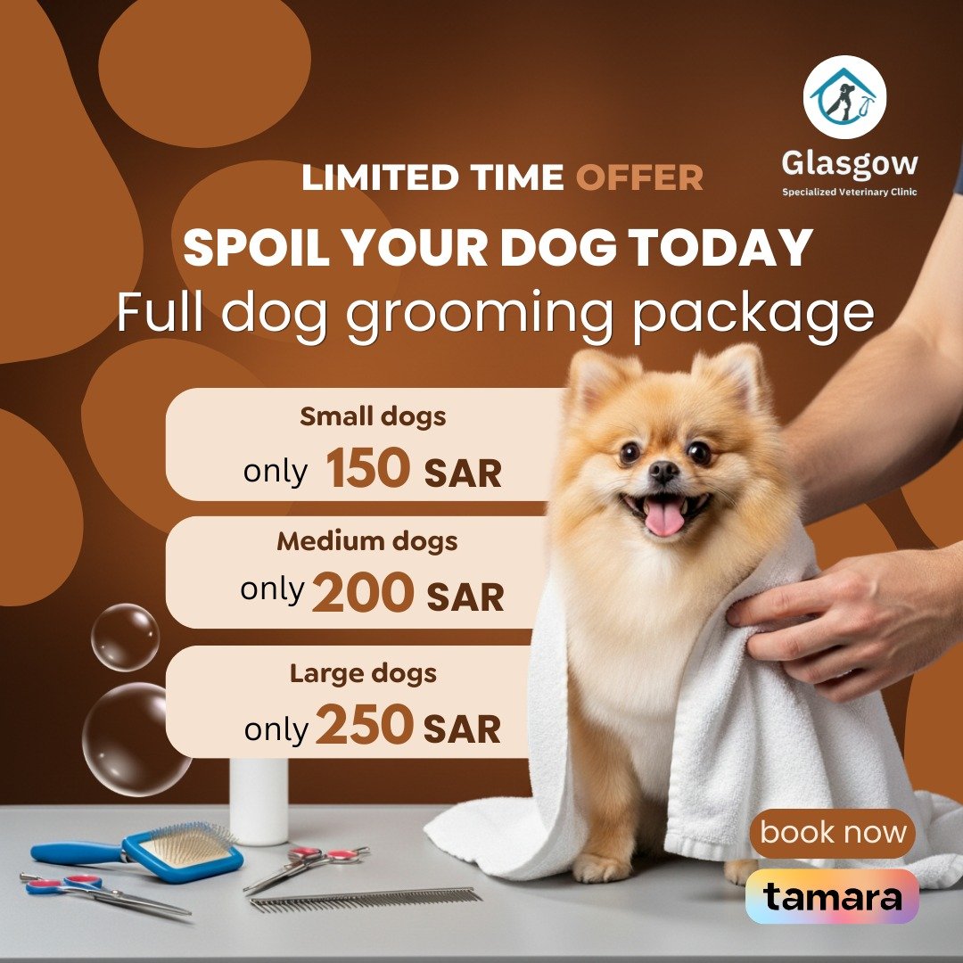 Offer 2