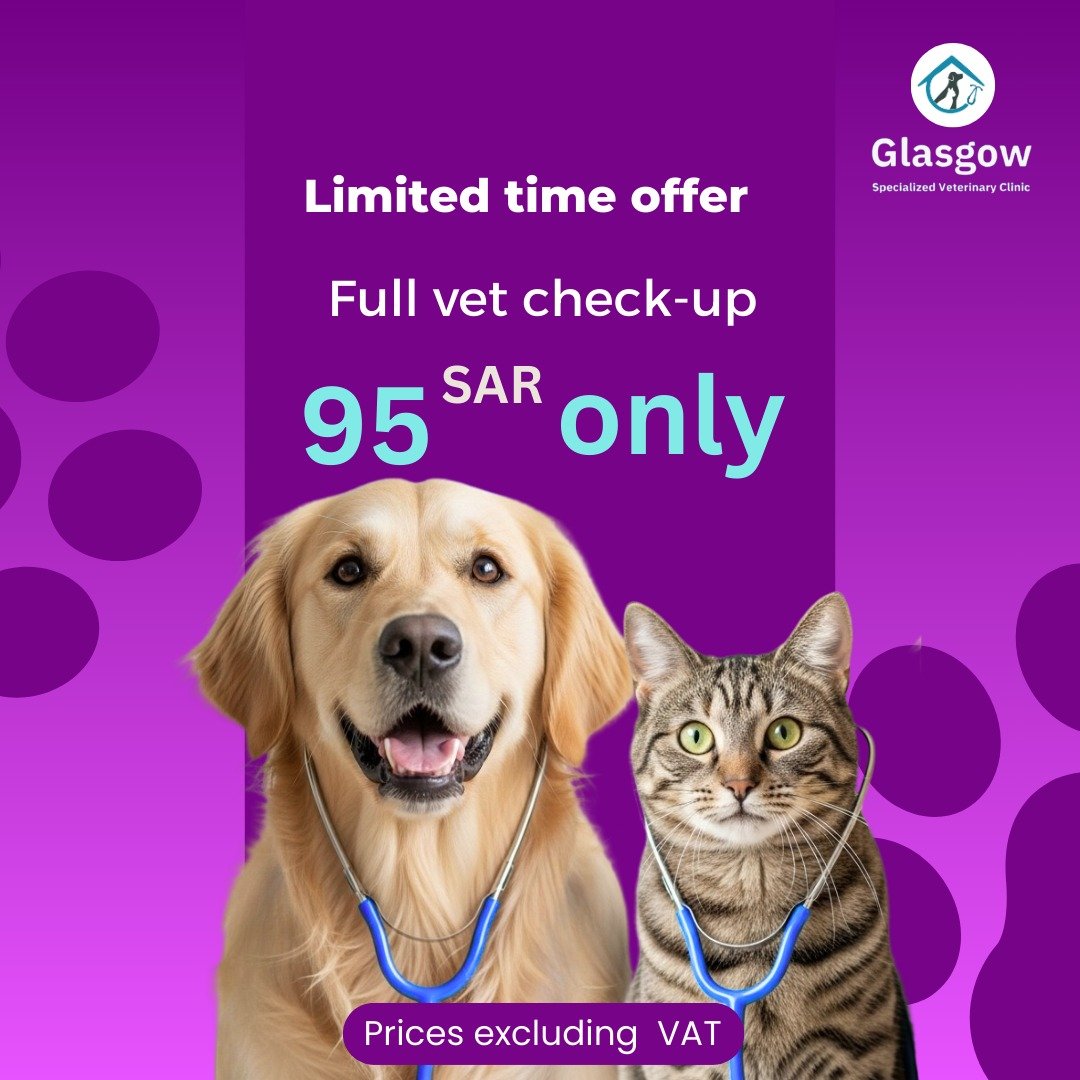 Offer 14