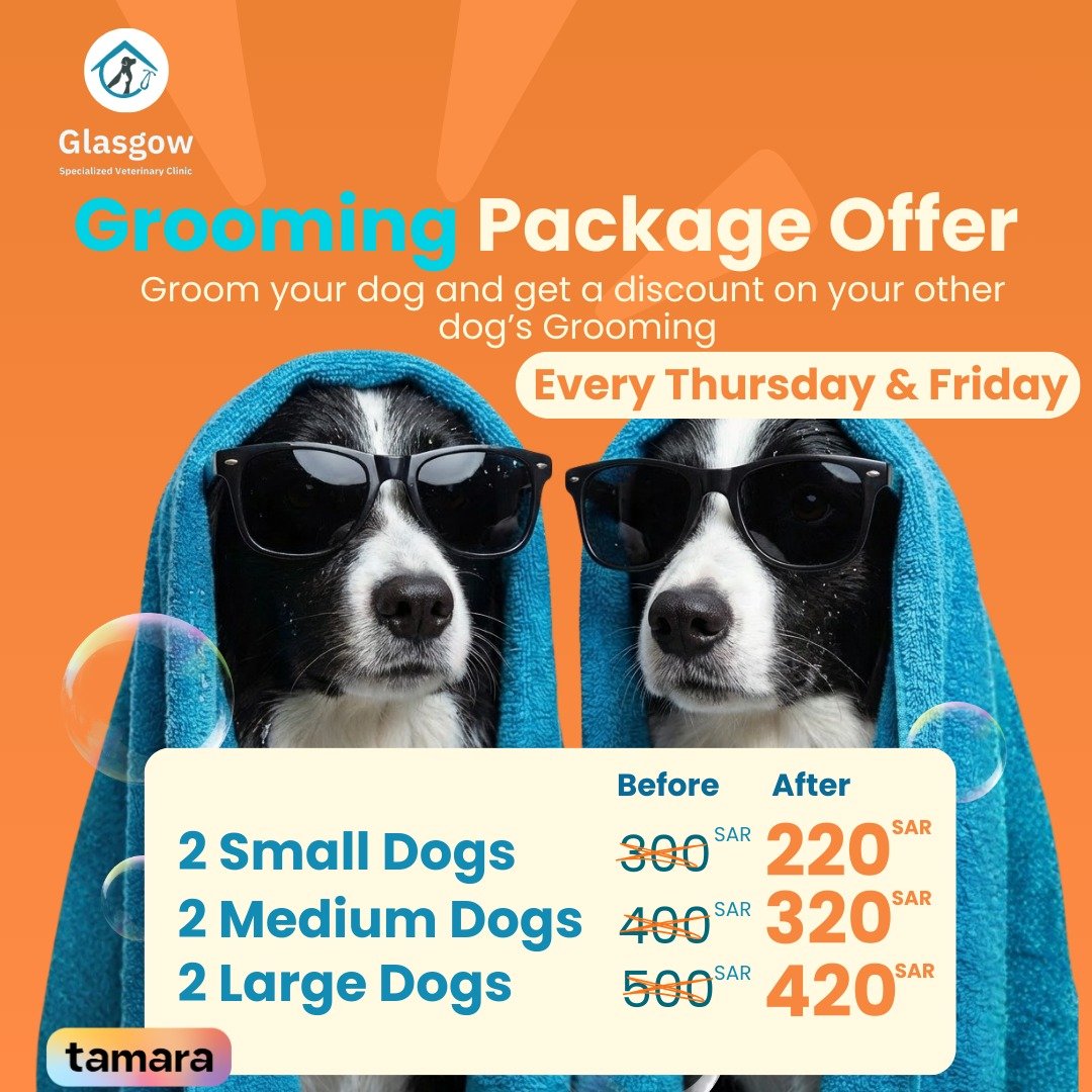 Offer 10