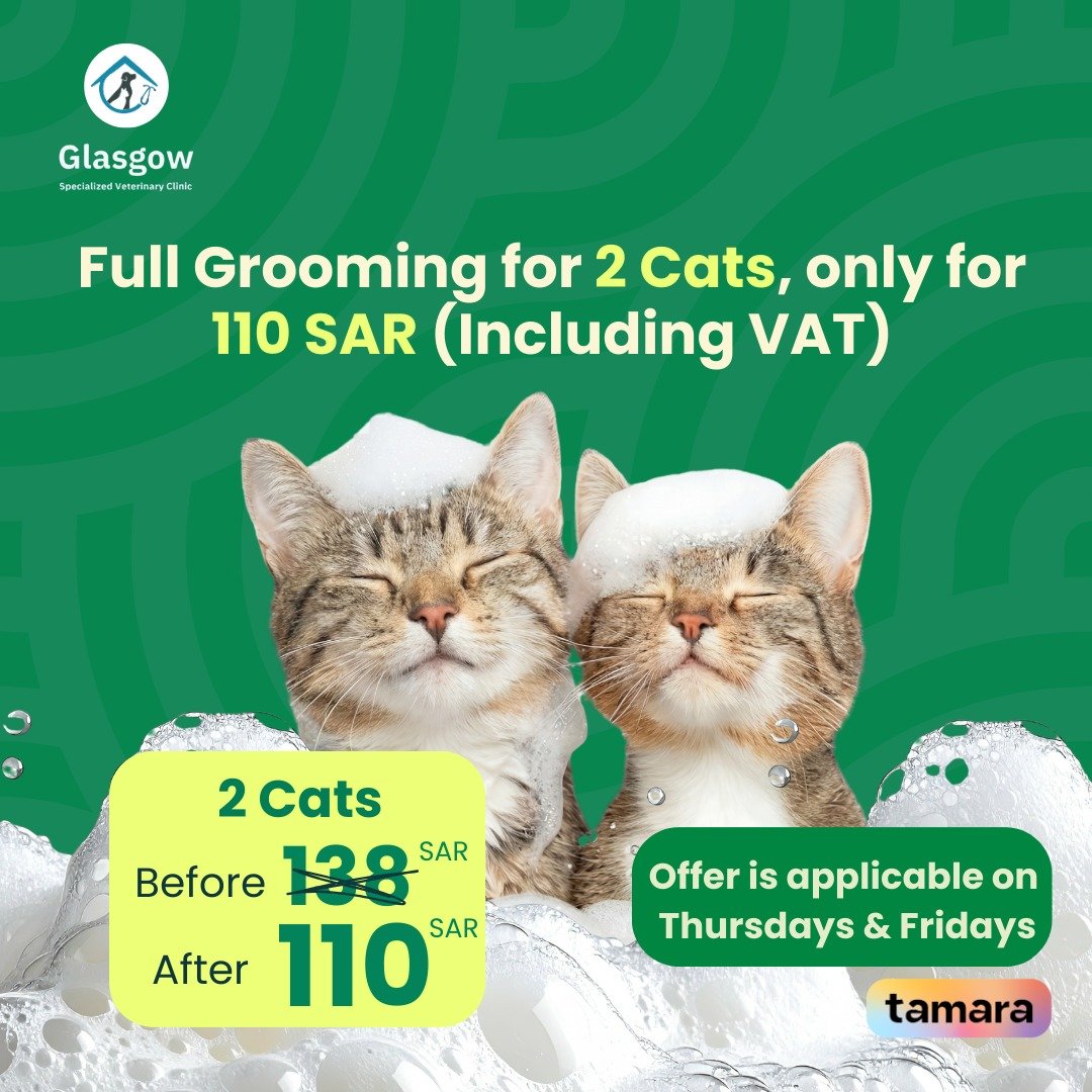 Offer 7