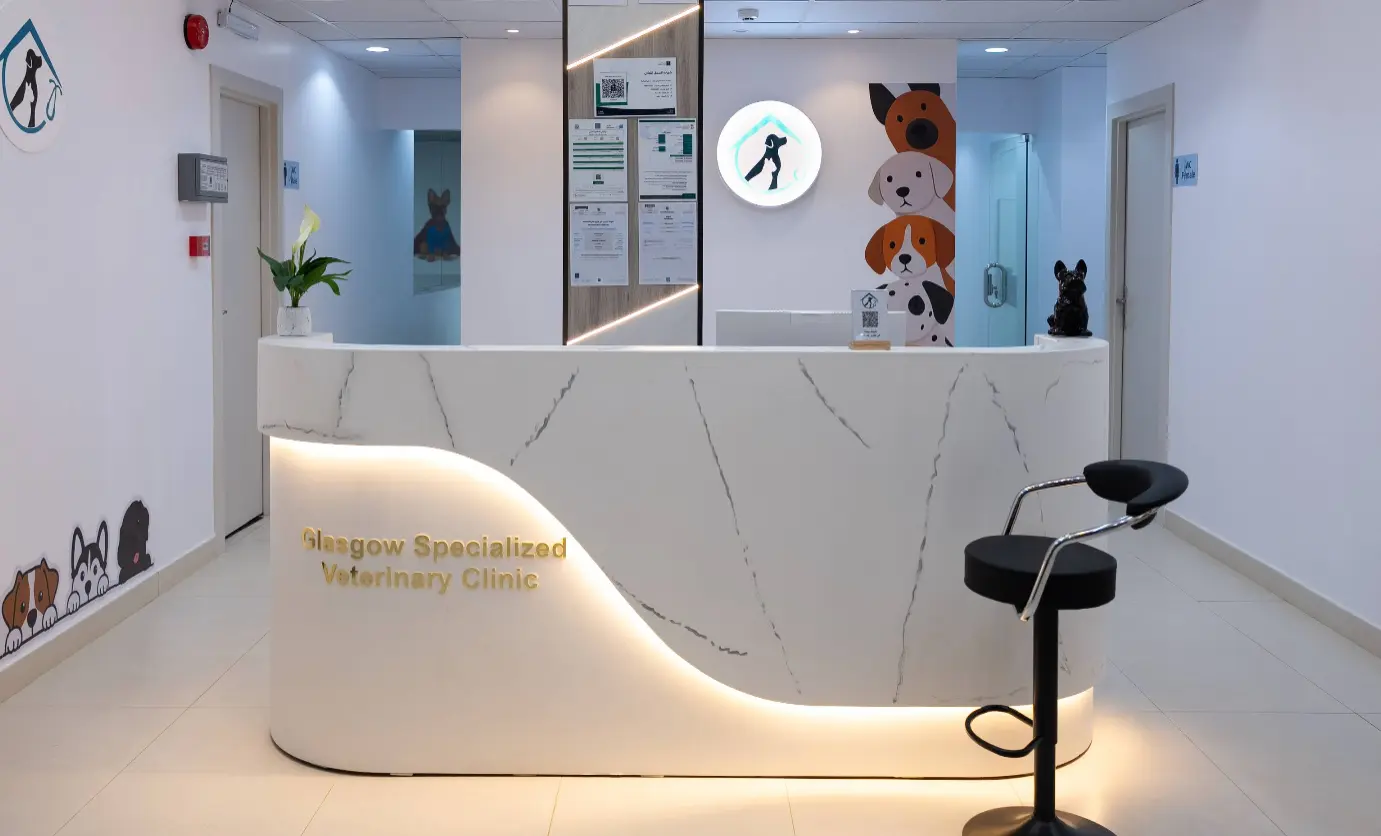 Clinic Area 6