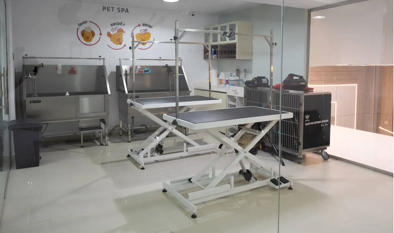 Clinic Area 7