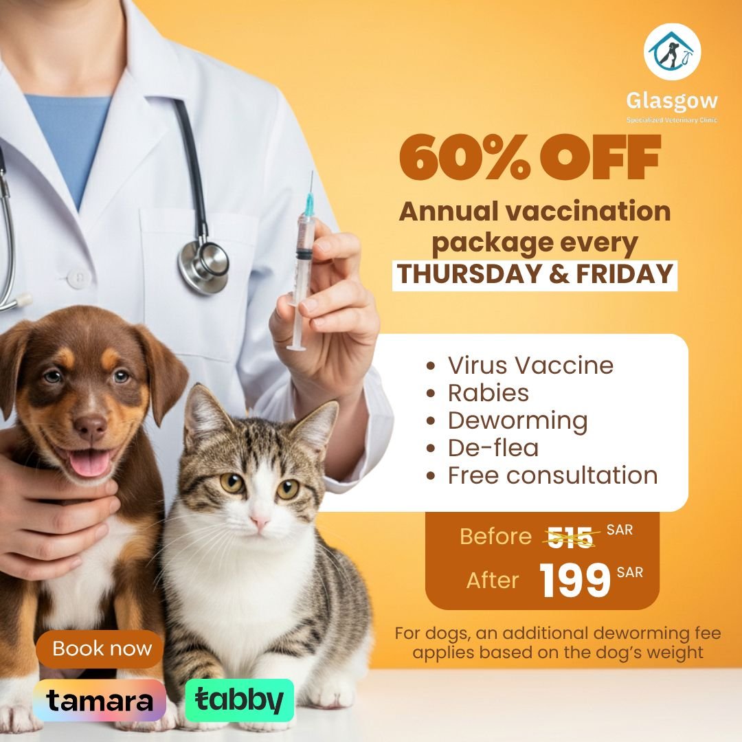 Offer 13