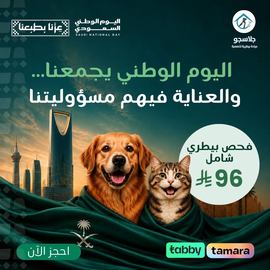 Offer 10