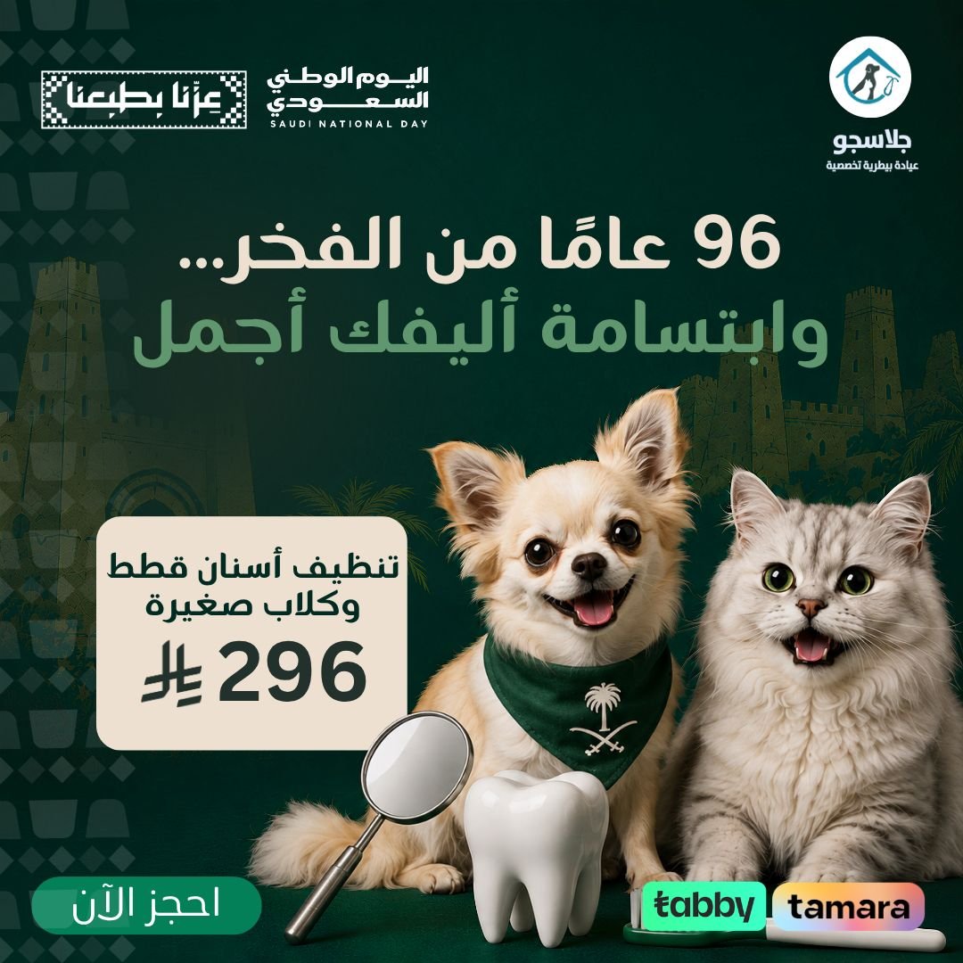 Offer 2
