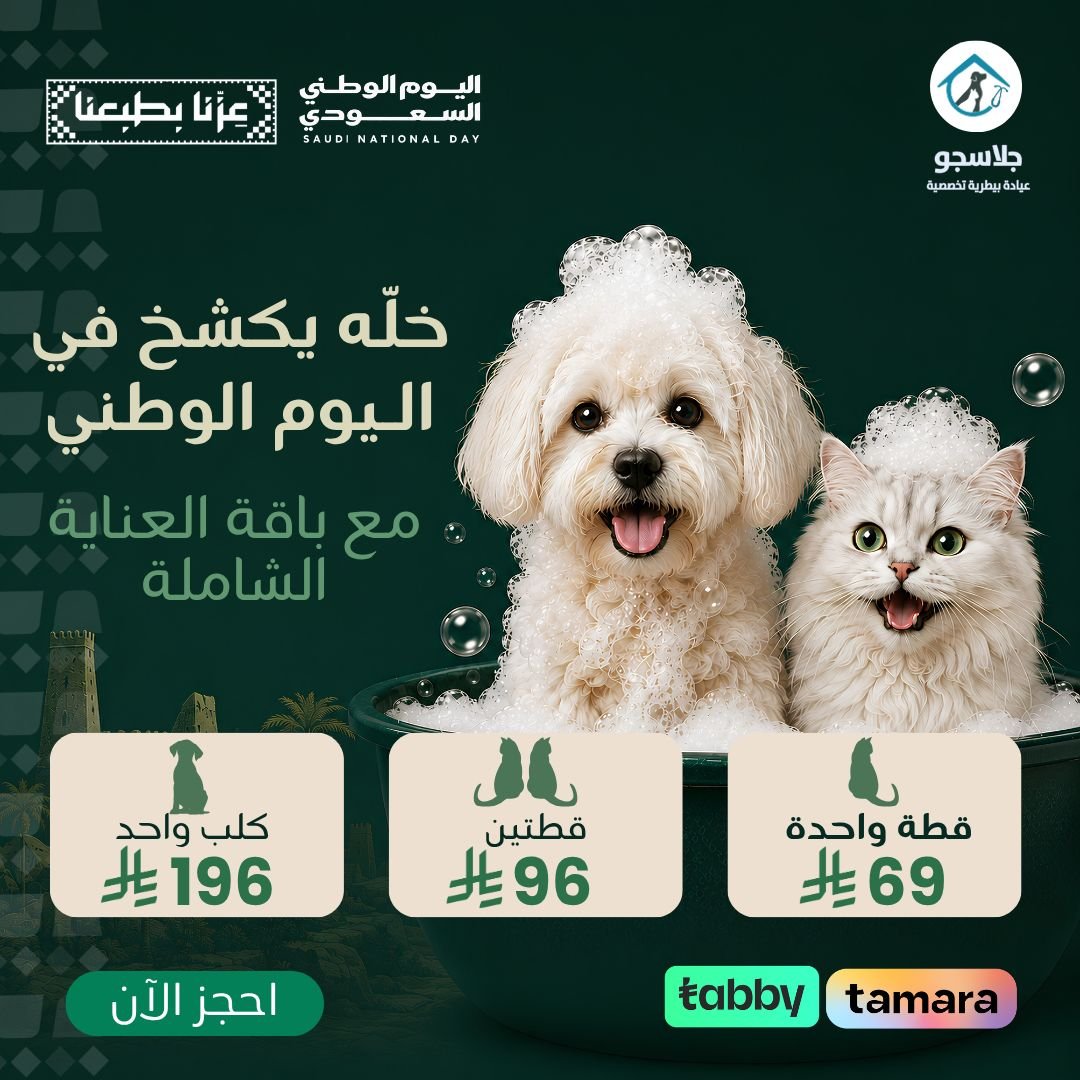 Offer 3