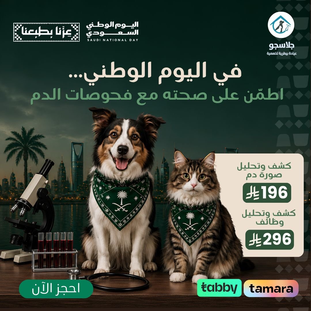 Offer 4