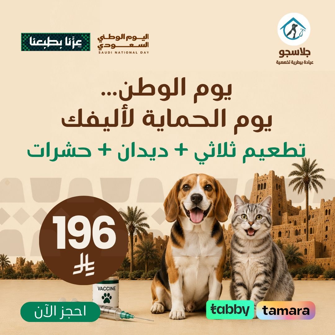 Offer 0